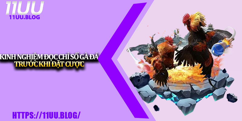 Đá Gà 11UU – Sân Chơi Cược Trực Tuyến Đẳng Cấp 3 Kinh nghiệm đọc chỉ số gà đá trước khi đặt cược