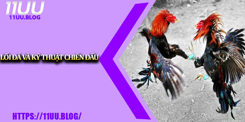Kèo Đá Gà Cựa Sắt – Trải Nghiệm Gay Cấn Từng Giây 4 Lối đá và kỹ thuật chiến đấu