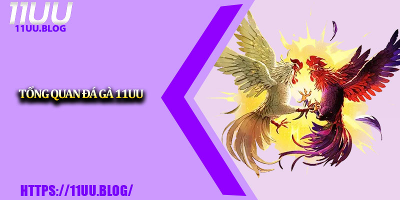 Đá Gà 11UU – Sân Chơi Cược Trực Tuyến Đẳng Cấp 1 Tổng quan đá gà 11UU